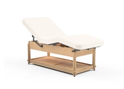Clinician Adjustable Lift-Assist Backrest Table - CLOSEOUT